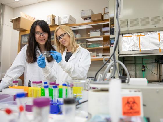 Researchers in a lab with colorful lab equipment surrounding them.